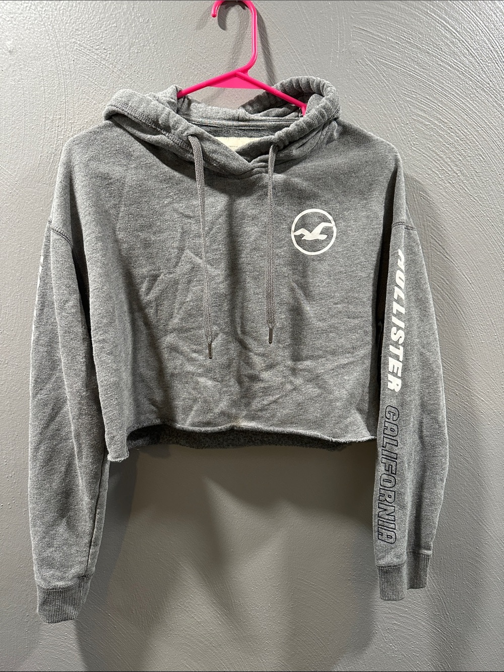 Vintage Hollister Gray Cropped Hoodie with Sleeve Logo